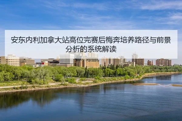 an-dong-nei-li-jia-na-da-zhan-gao-wei-wan-sai-hou-mei-ben-pei-yang-lu-jing-yu-qian-jing-fen-xi-de-xi-tong-jie-du-2-949.jpg