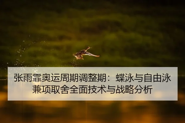 张雨霏奥运周期调整期：蝶泳与自由泳兼项取舍全面技术与战略分析