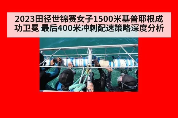 2023田径世锦赛女子1500米基普耶根成功卫冕 最后400米冲刺配速策略深度分析